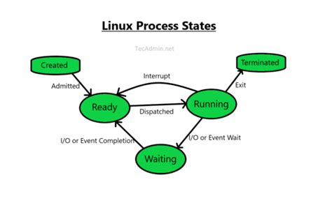 Image result for Linux Process