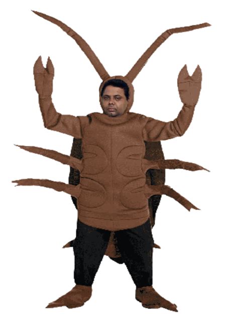 Cockroach Pokemon 的图像结果