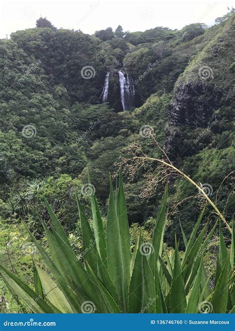Opaekaa Falls, Kauai, Hawaii, USA Stock Photo - Image of drop, color ...