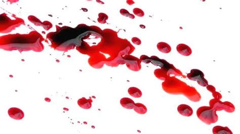 Home-quarantined youth in TN bites, kills woman - INDIA - GENERAL ...