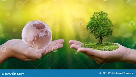 8,797 Save Trees Stock Photos - Free & Royalty-Free Stock Photos from ...