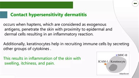 Types of Inflammation ppt.pptx