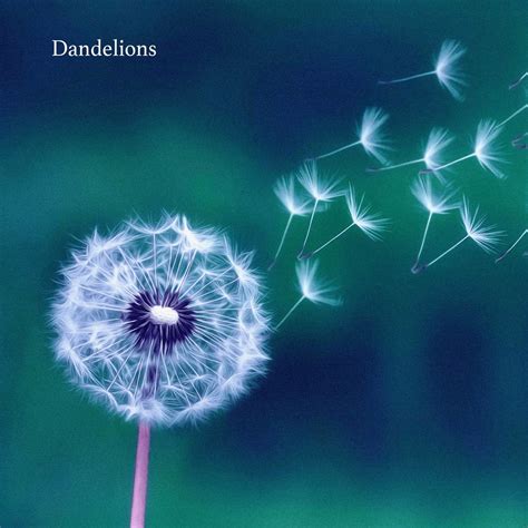 Dandelions Piano Tutorial 的图像结果