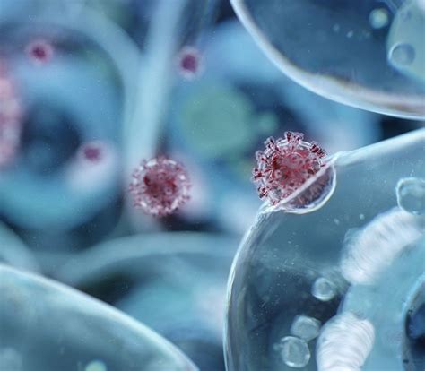 Covid Persistente: cuáles son sus síntomas | Tu canal de salud