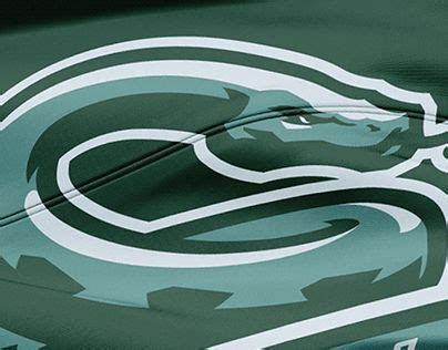 Image result for Red Python Sports Logo