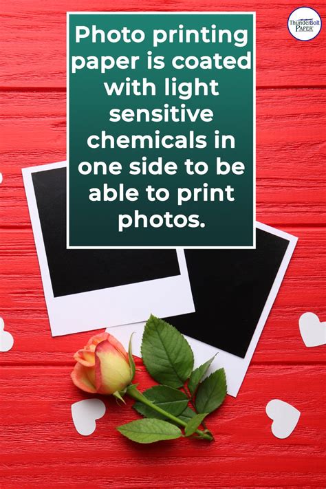 Image result for Paper Coating Example