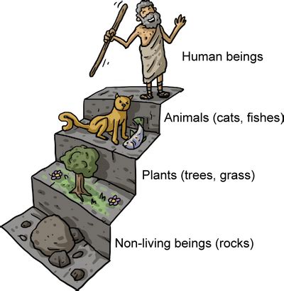 Human Classification Chart 的图像结果