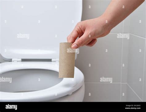 Image result for Using Toilet Paper