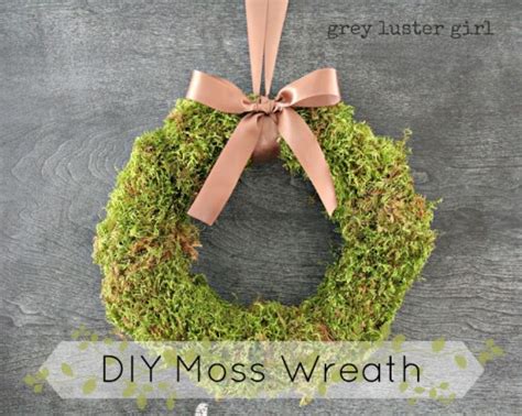 Image result for DIY Java Moss Decorations