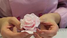 fiori di pasta di zucchero senza stini rosa in pasta di zucchero sugar paste fiori di pasta di zucchero senza stini rosa in pasta di zucchero sugar paste