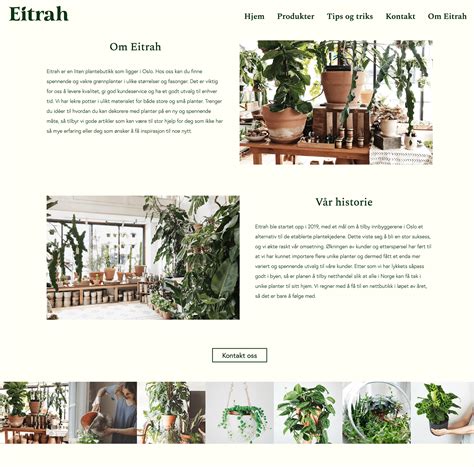 Image result for Simple Website Project