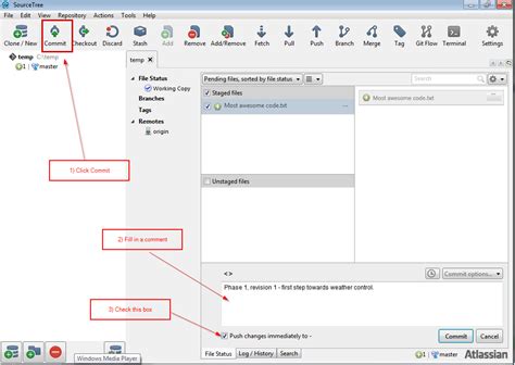 Image result for How to Push Project with Source Tree to Bitbucket