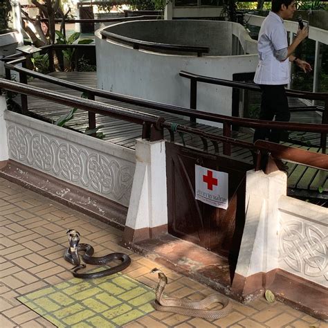 WITCHUWAN APARTEL - 2026 Hotel Reviews, Photos, Rate Comparison ...