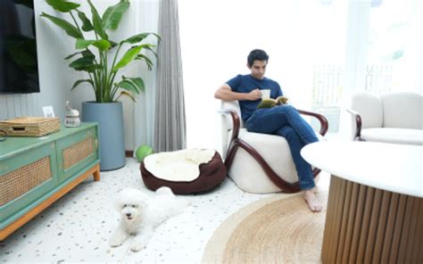 Pet-Friendly Travel: Explore ELIVAAS' Comfortable Stays