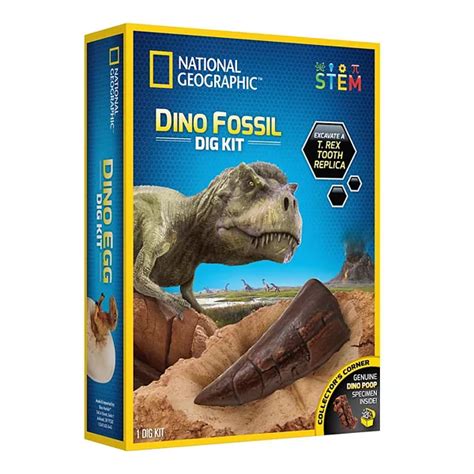 National Geographic Dino Fossil Dig Kit