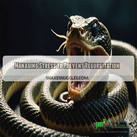 Regurgitates Python 的图像结果