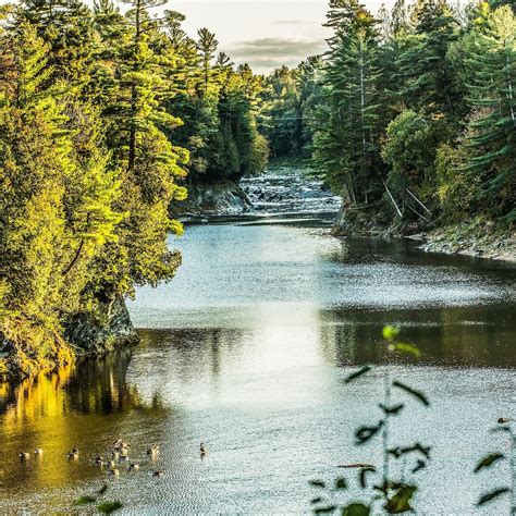 PARC DES DEUX RIVIÈRES (2026) All You Need to Know BEFORE You Go (with ...