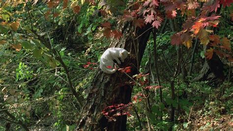 Image result for Spring Summer Fall Winter and Spring 2003