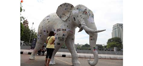 No-Trade No Killing 的图像结果