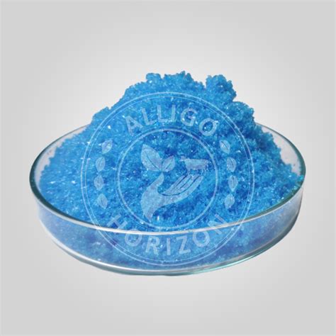 Making Copper Sulphate Required Practical 的图像结果