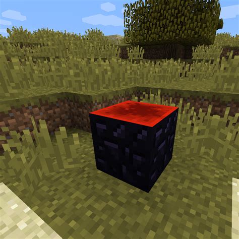 Image result for Trash Can Mod