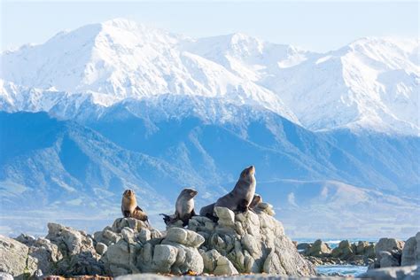 Climate & Seasons | Information about New Zealand | Kiwiway