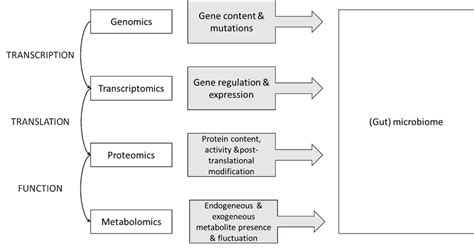 Omics Introduction 的图像结果
