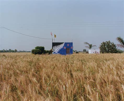 ASAP Art | Flags of Our (Migrating) Fathers: Fields of Punjab, Aflutter