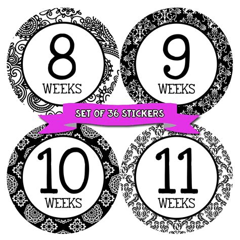 Months In Motion Pregnancy Week by Week Belly Stickers | Large Set of ...