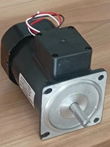 Manufacturer of Induction Motor & FHP Motors by Adept Motors, Pune