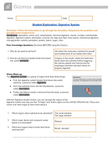 Copy of Gizmo Activity Digestive System - Name: Date: Student ...
