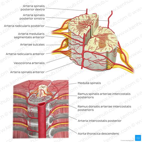 Image result for HTML and CSS and JavaScript