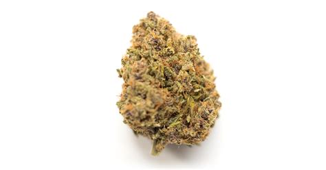 Image result for Alien OG Kush