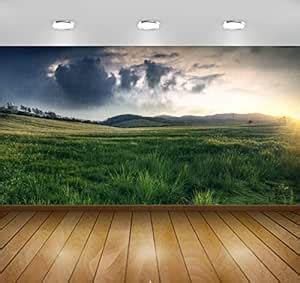 Avikalp Awi5952 Rain at Sunset Nature Full Hd Wallpapers (Wall Stickers ...
