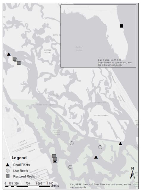Impact of Oyster (Crassostrea virginica) Reef Restoration on Benthic ...