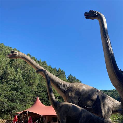 LA FORET DE FOSSILES (2026) All You Need to Know BEFORE You Go (with ...