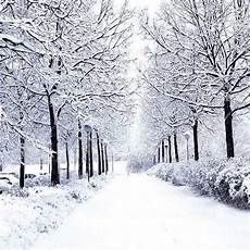 Snow Backdrop by Snow Scenery 10 X10 Background Computer Painted Cp Snow Backdrop