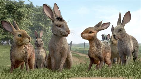 Watership Down Wallpapers - Wallpaper Cave