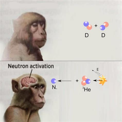 Neutron Activation | Neuron Activation | Know Your Meme