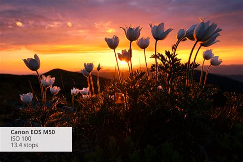 Image result for High Dynamic Range Video Camera