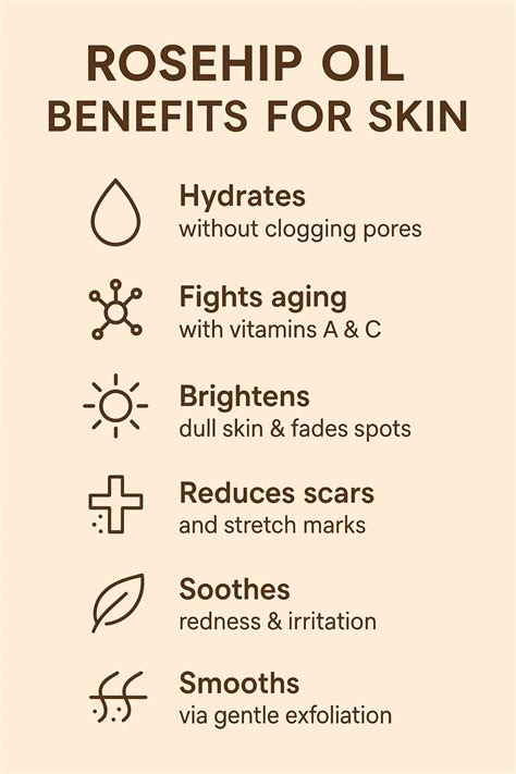 Rosehip Oil Benefits for Skin: A Complete Guide to Glowing, Healthy Skin