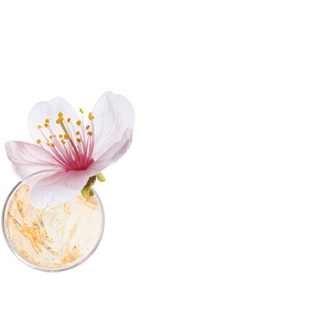 Nos routines visage anti-âge pour votre bien-être | Dr Pierre Ricaud