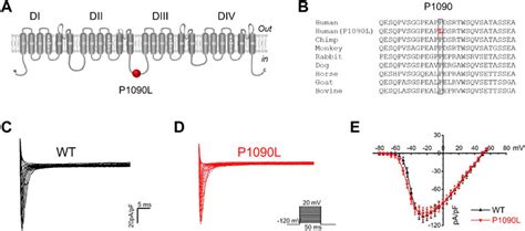Image result for Batch Normalization in Computer Vision