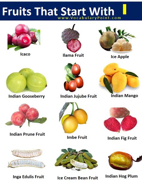 Fruits Starting with I (Properties and Pictures) - Vocabulary Point