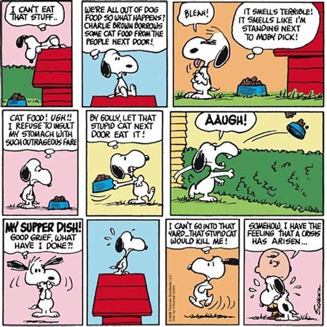 10 Funniest Peanuts Comic Strips Of The 1990S – PNSWG