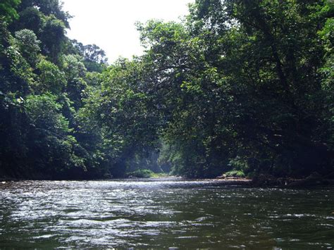 Temburong River, bangar, Brunei - Top Attractions, Things to Do ...