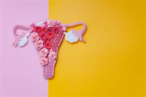 एंडोमेट्रिओसिस के लक्षण, कारण, इलाज, दवा, उपचार और बचाव - Endometriosis ...