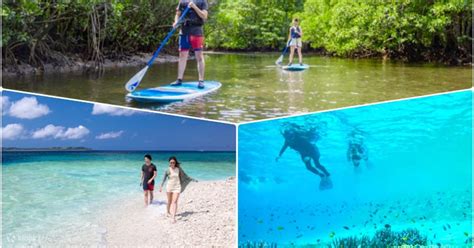 SUP or Canoe at Mangrove Forest and Snorkeling at Coral Island - Klook ...