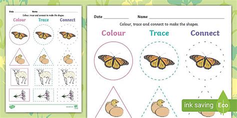Spring 2D Shape Colour Trace and Join the Dots