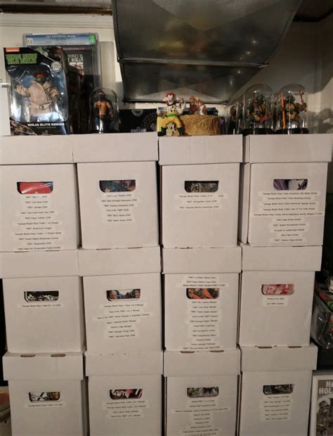 Image result for TMNT Boxed Collection